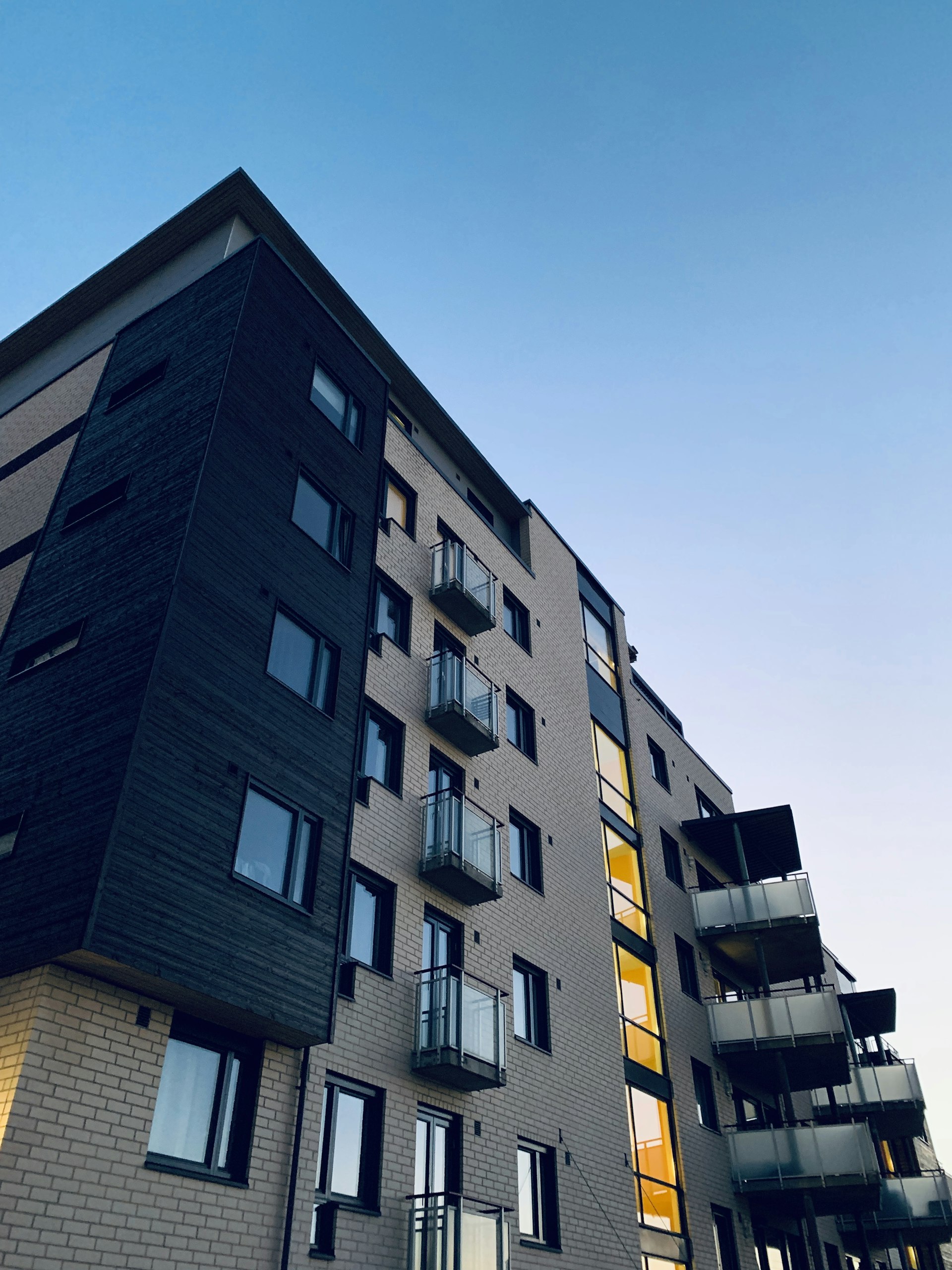 Auckland property showcase 4